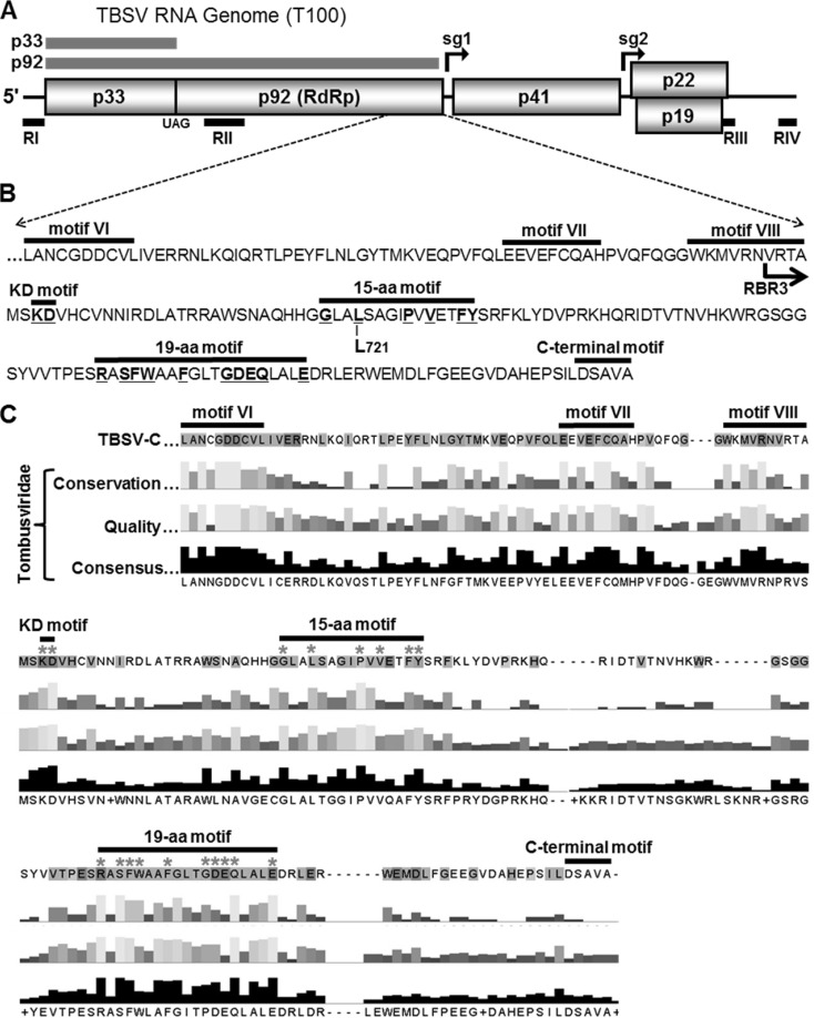 FIG 1