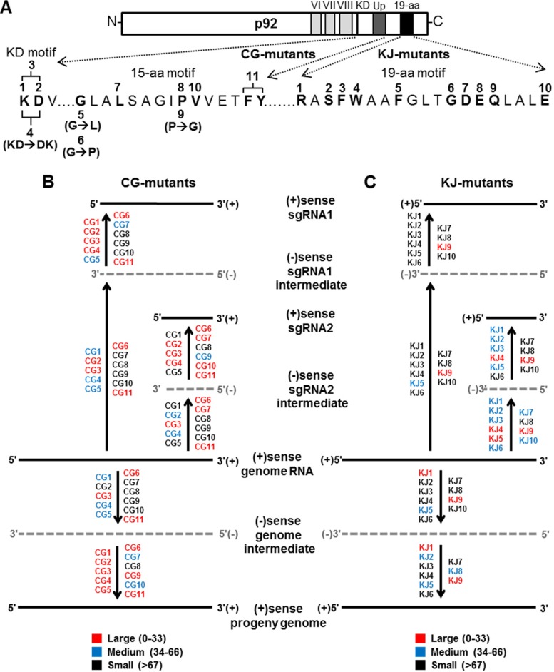 FIG 4