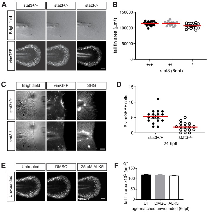 Figure 4—figure supplement 1.