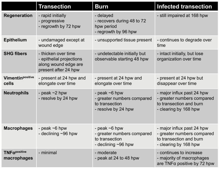 Figure 4—figure supplement 2.