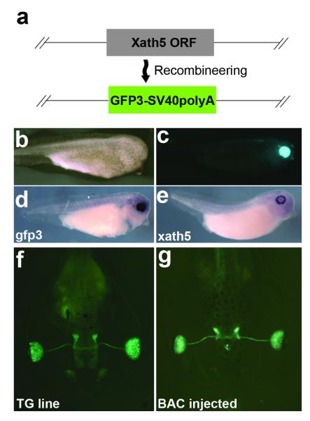 FIG. 3