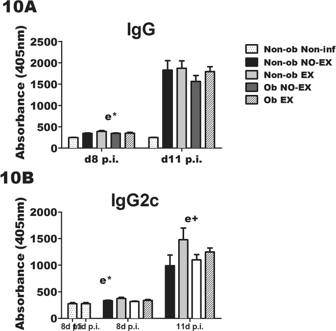 Fig 10