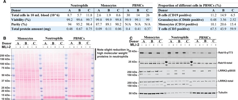 Figure 6.