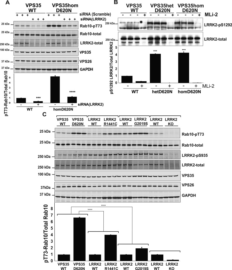 Figure 3.