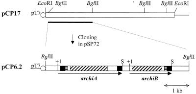 FIG. 1