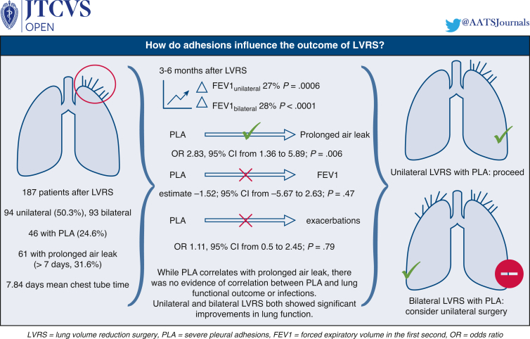 Relevance of pleural adhesions for short- and long-term outcomes after ...