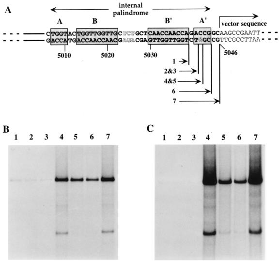 FIG. 4