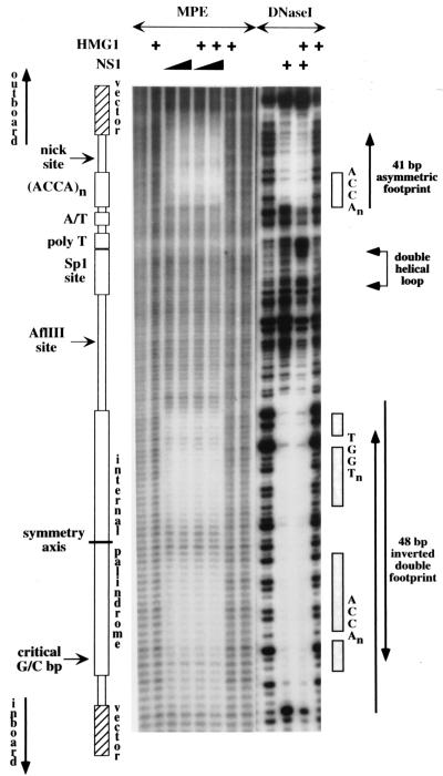 FIG. 6