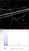 Image of asbestos fiber under an electron microscope and chemical analysis of the fiber with element composition at the marked point of the fiber