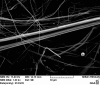Asbestos fiber from sample 3 as seen under an electronic microscope