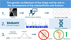 Graphical Abstract