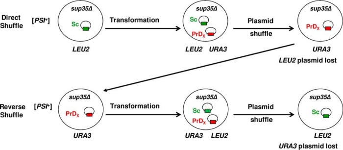 FIGURE 3.