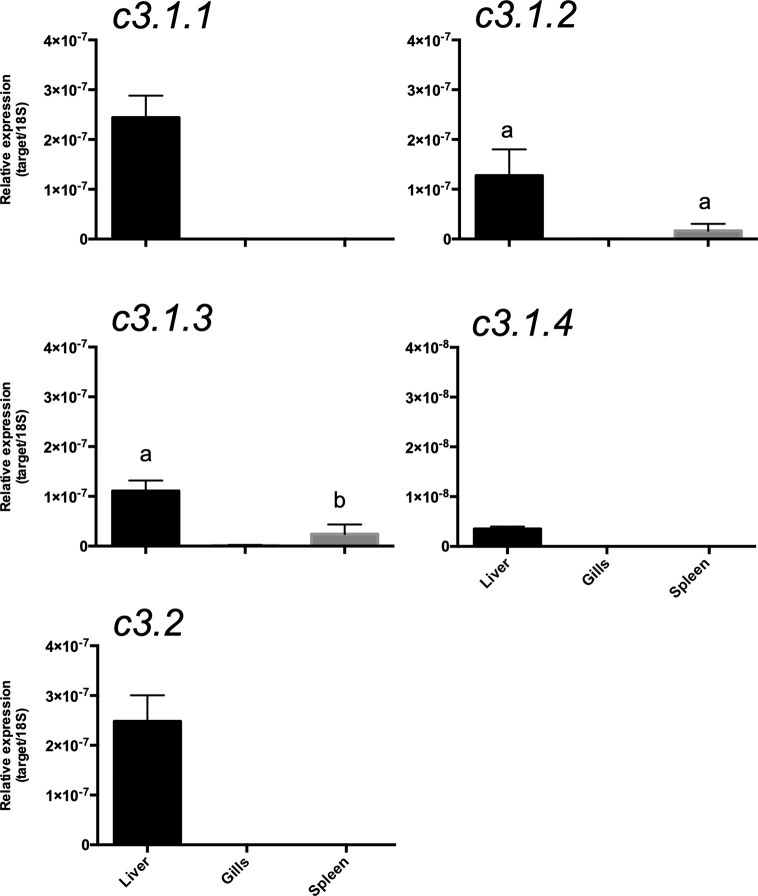 Figure 12