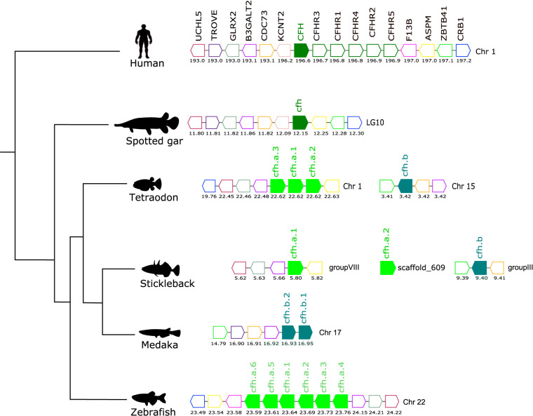 Figure 7