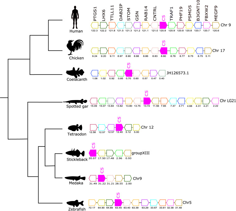 Figure 6