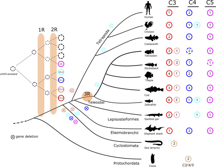 Figure 13