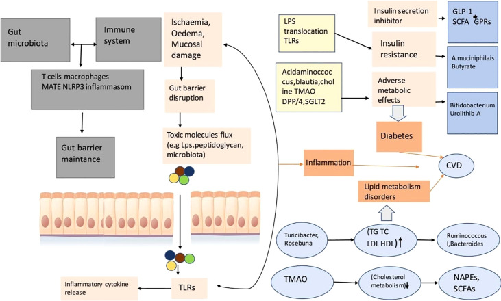 Figure 4