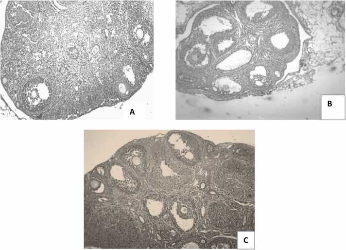 Fig. 12