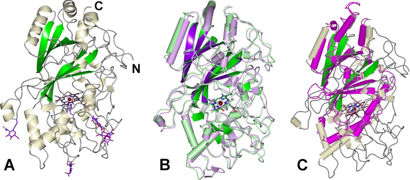 FIGURE 1.