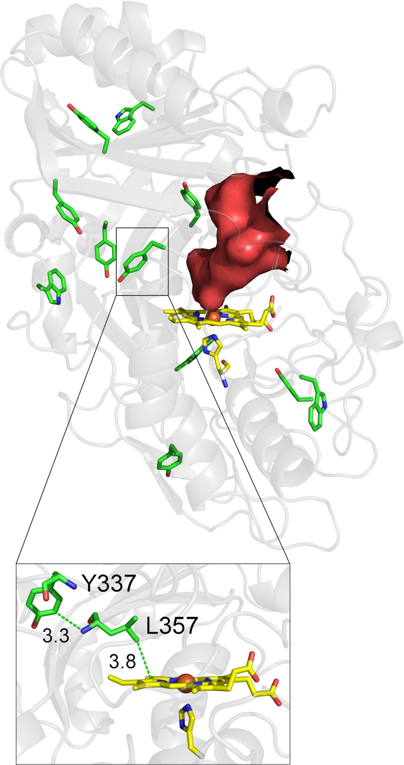 FIGURE 5.