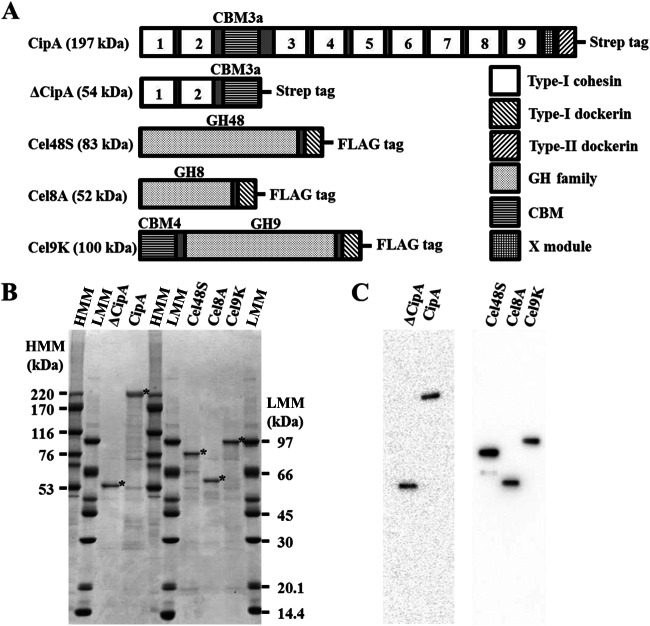 FIG 2