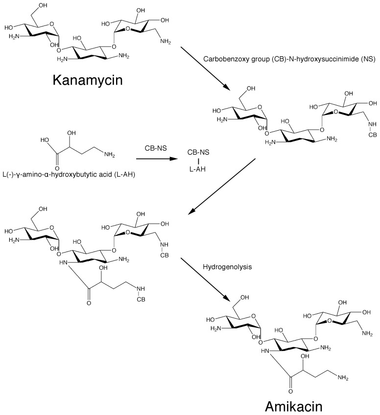 Scheme 1