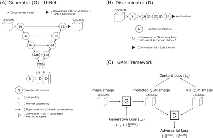 MRM-29260-FIG-0001-b