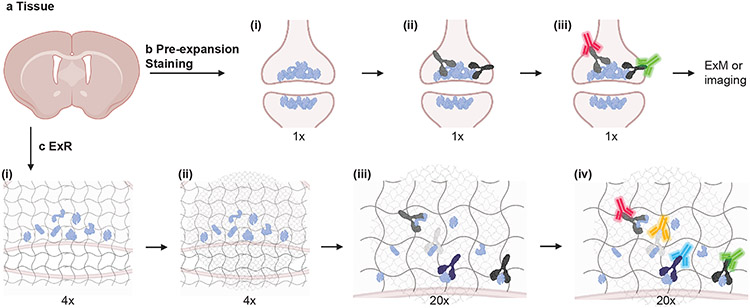 Fig. 1 ∣