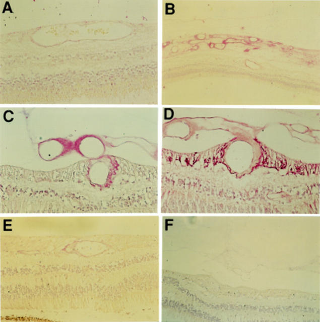 Figure 3  