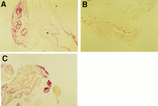 Figure 2  