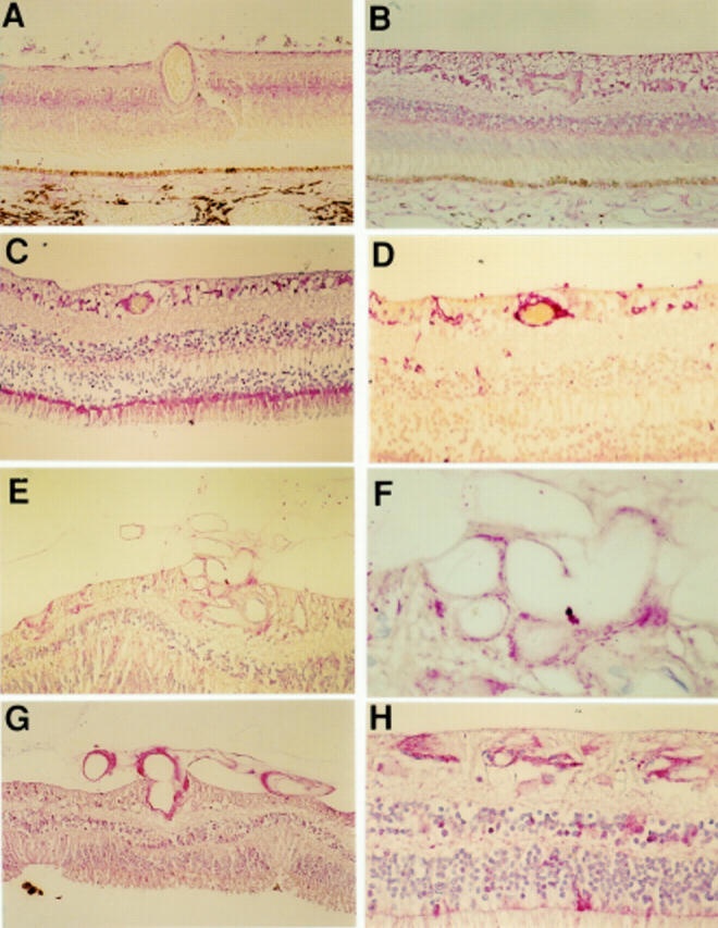 Figure 1  