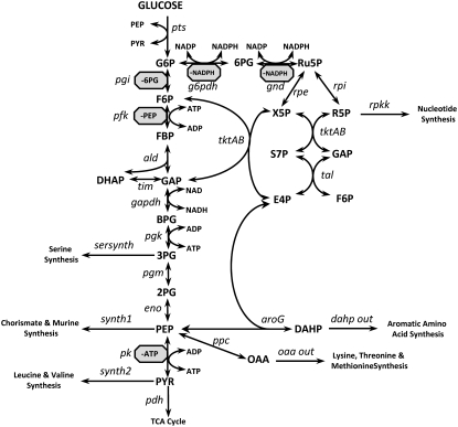 FIGURE 3