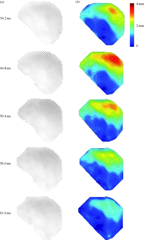 Figure 5.