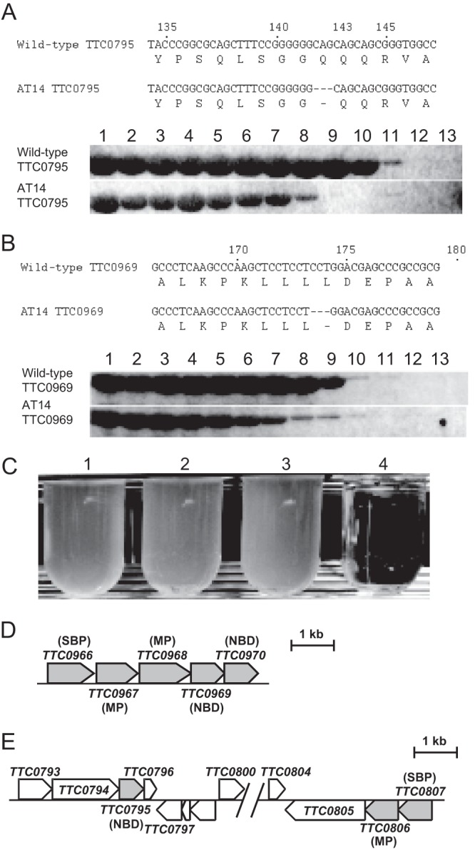 Fig 3