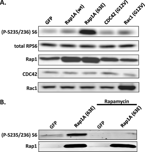 FIGURE 1.