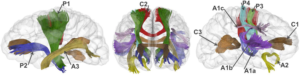 Fig.2