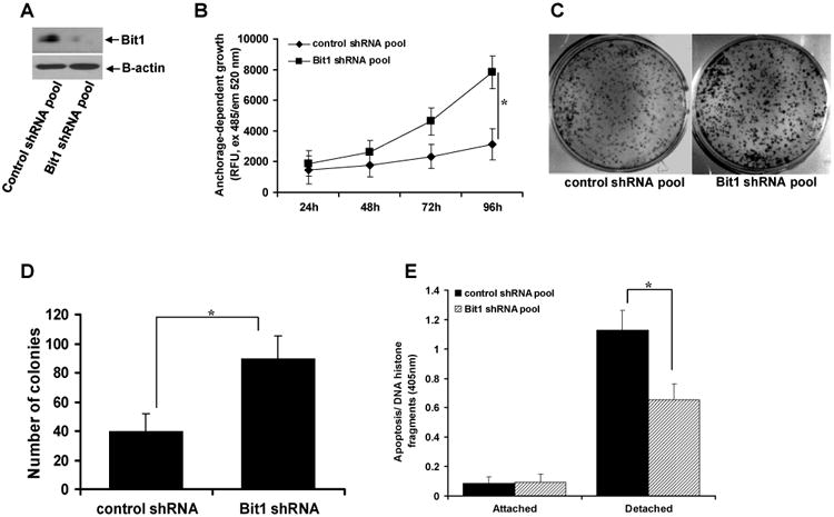 Fig.1