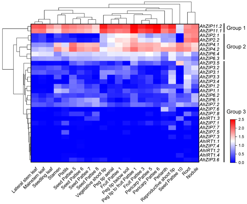 Figure 6