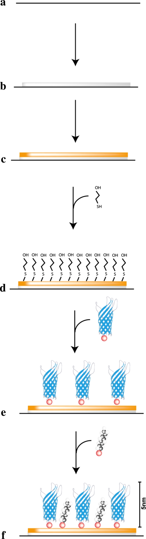 Fig. 1