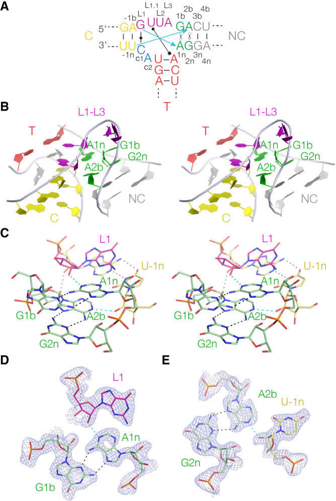 FIGURE 4.