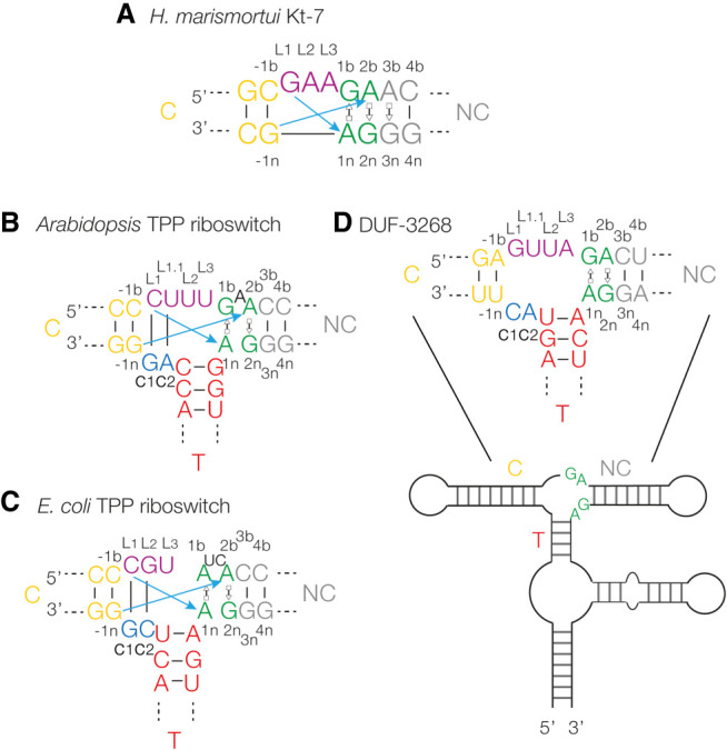 FIGURE 1.