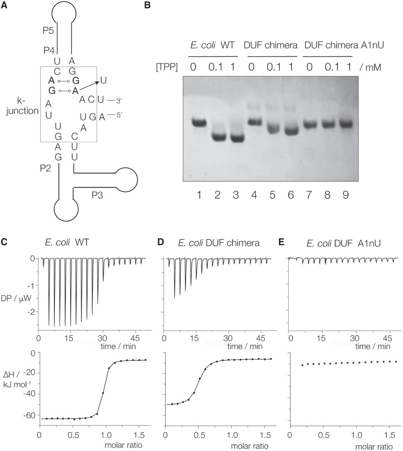 FIGURE 6.