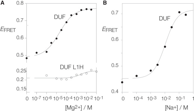 FIGURE 3.