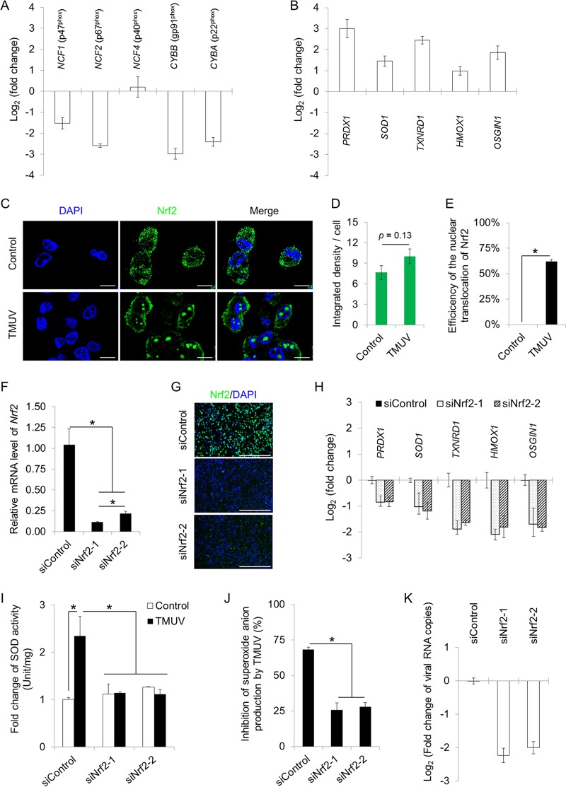 FIG 6