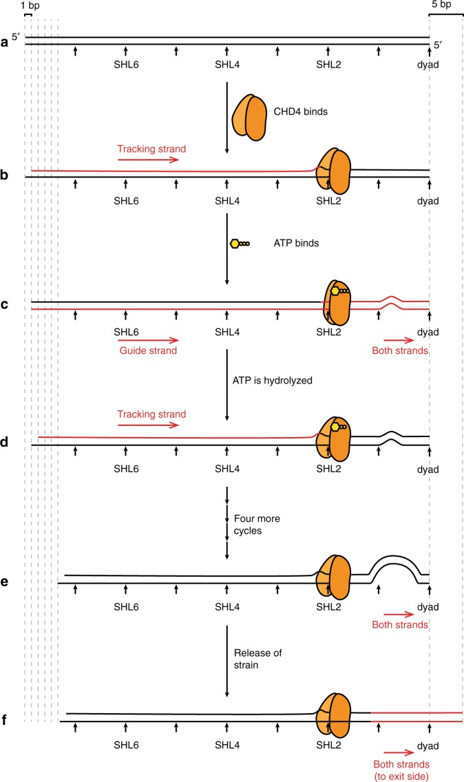 Fig. 7