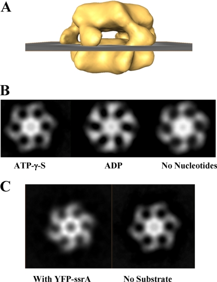 FIGURE 4.