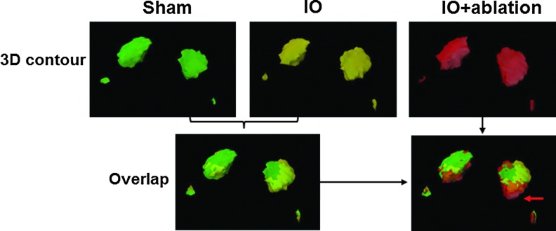 FIG. 4.