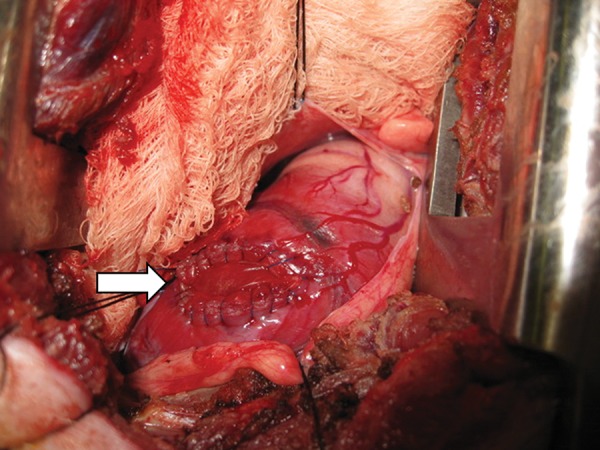 Figure 1: