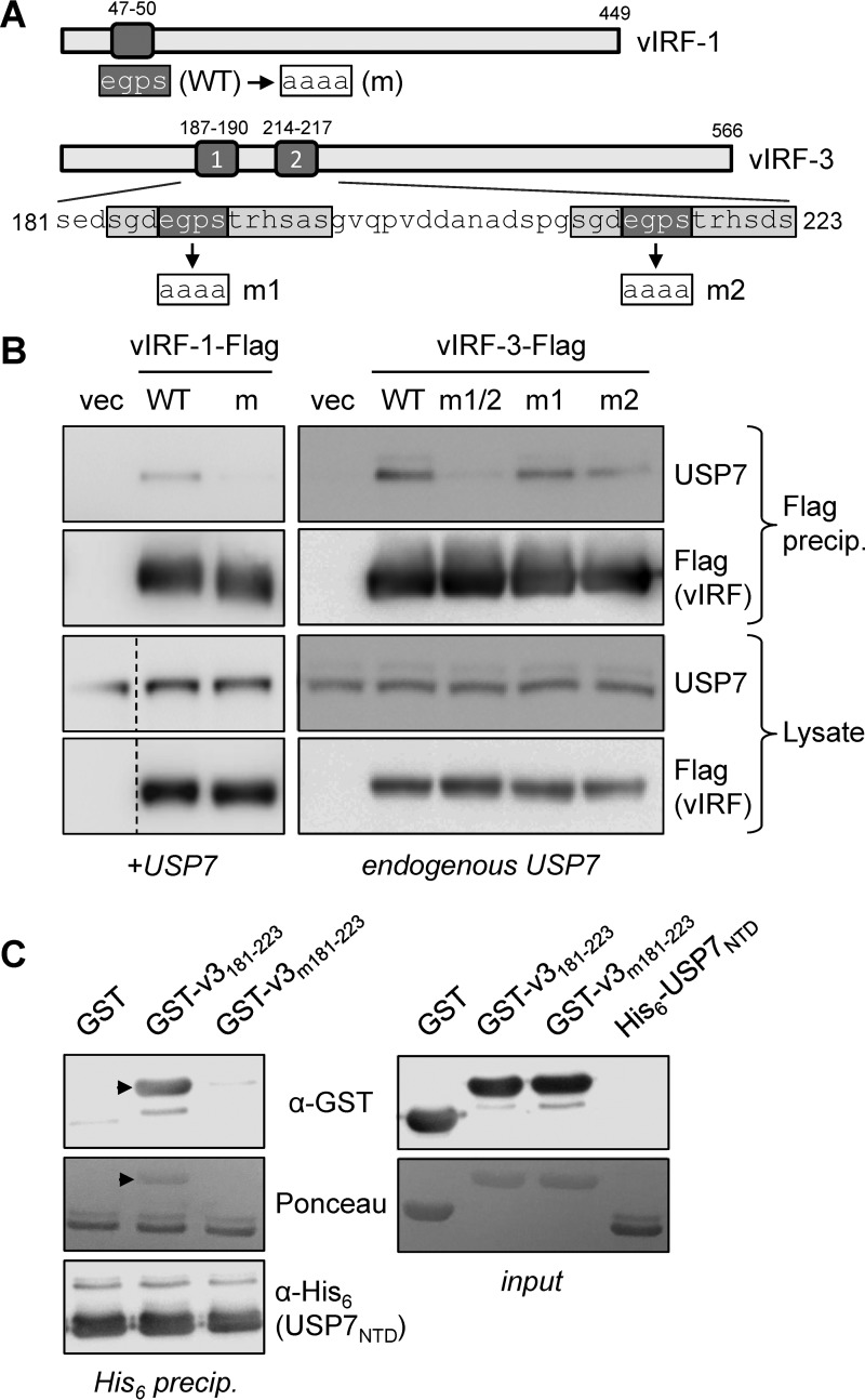 FIG 2