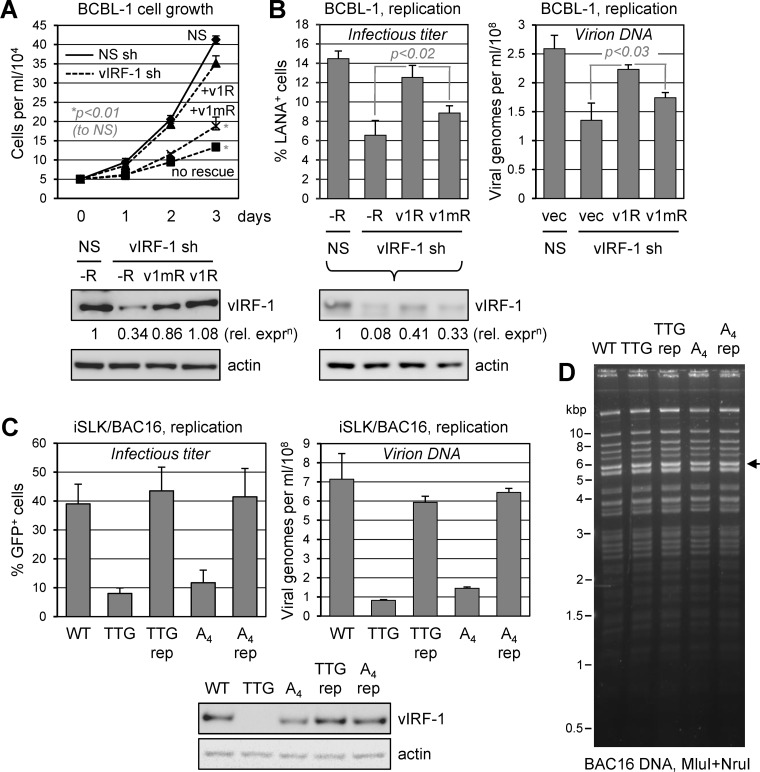 FIG 5